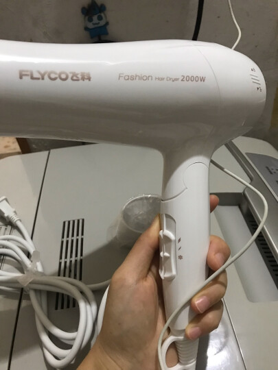 飞科(FLYCO)电吹风机 家用恒温冷热风速干 FH6232大功率吹风筒 2000W 晒单图