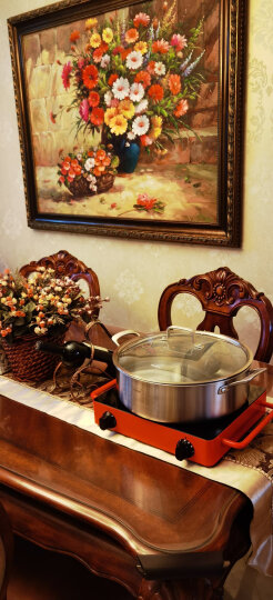 米技Miji电陶炉电磁炉德国米技炉家用煮茶炉定时双圈烹饪D4红色 2000W 晒单图