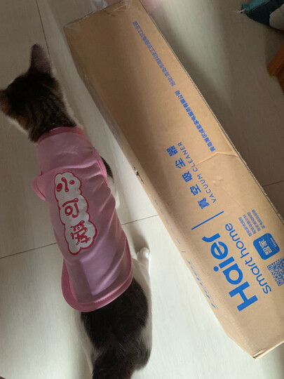 海尔(Haier)吸尘器 ZL601A 家用 立式 便携式 家用手持立式二合一强劲吸力 晒单图
