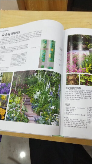 花园设计百科全书（全彩） 晒单图