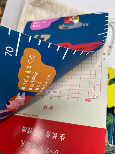 婴儿视觉激发卡:黑白卡+彩色卡(套装共2册) 晒单图