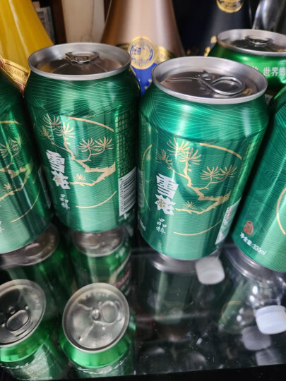 雪花啤酒（Snowbeer） 勇闯天涯 500ml*12听整箱装 经典实惠装  晒单图