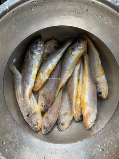 三都港 三去深海宁德大黄花鱼1kg/2条装 生鲜 鱼类 国产海鲜水产 健康轻食 晒单图