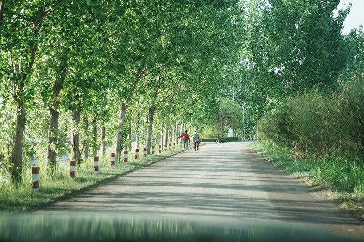 适马（SIGMA）Art 35mm F1.4 DG HSM 全画幅 大光圈定焦镜头 人像街拍夜景（尼康单反卡口） 晒单图