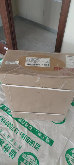 林内（Rinnai）16升 经典恒温 防冻 燃气热水器 天然气 RUS-16QD03（JSQ31-D03）家电* 晒单图