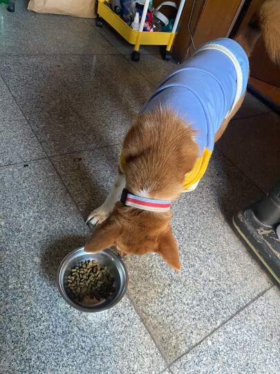 麦富迪狗粮 藻趣儿2.5kg 幼犬中大型小型犬通用（牛肉螺旋藻）金毛泰迪 晒单图
