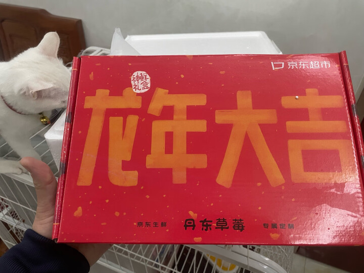 京鲜生 丹东99红颜奶油草莓 500g礼盒装 单果18g+ 新鲜水果礼盒 晒单图