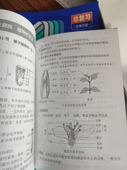 新东方 (2018)年考研英语阅读理解精读100篇(基础版) 晒单图