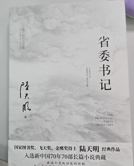 背景（时政小说） 小说 晒单图