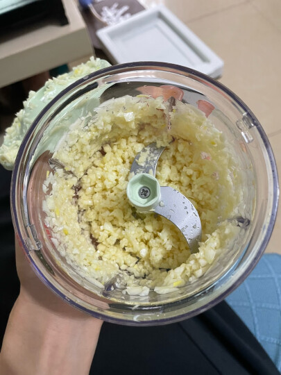 小熊（Bear）绞肉机家用 辅食机婴儿 小型绞馅机 碎肉机 打肉机 蒜蓉机 不锈钢搅肉机 双杯双刀 QSJ-B02X5 晒单图