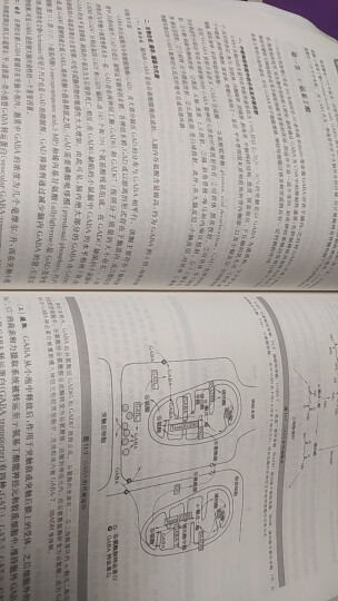 医学神经生物学 晒单图