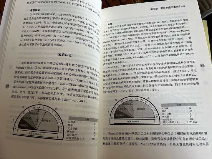 可见的学习 对800多项关于学业成就的元分析的综合报告 晒单图