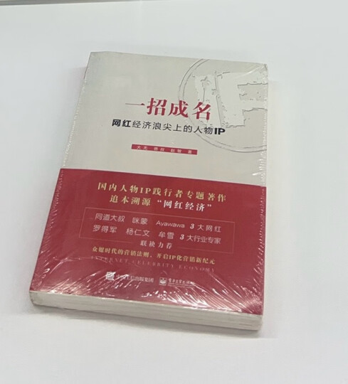 网红揭秘 一个有关电子商务、零售业和社交网络的盈利故事(博文视点出品) 晒单图