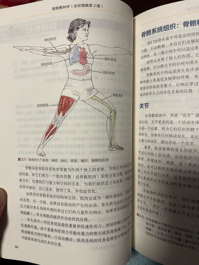 【现货 速发】瑜伽解剖学 全彩图解第2版 拉伸 跑步 禅修 灵修 柔韧 平衡 瑜伽之光 塑形 体式 晒单图