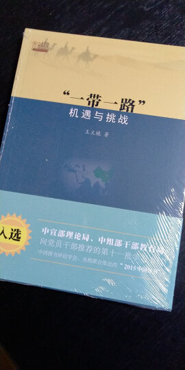 人大重阳金融研究书系：“一带一路” 机遇与挑战 晒单图