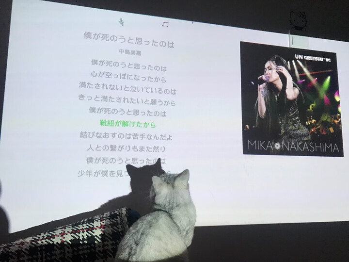 极米(XGIMI)CC 便携投影仪 投影机家用(高清宽屏 JBL音响 自动对焦 手机/微型投影) 晒单图