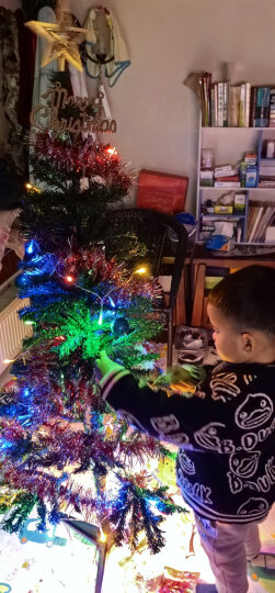 格瑞芬（Gryffon） 圣诞树套餐圣诞装饰品圣诞帽子礼品礼物彩灯 2.1米豪华套餐（圣诞树栅栏树裙） 晒单图