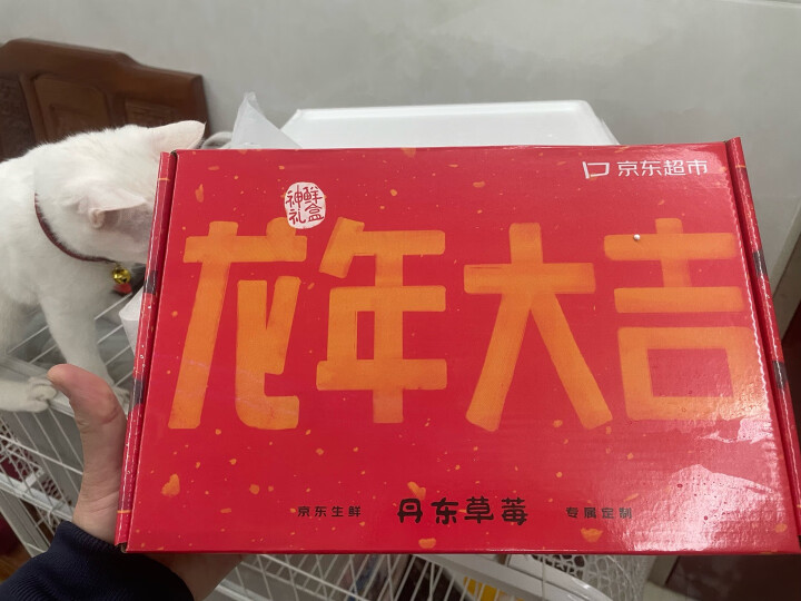 京鲜生 丹东99红颜奶油草莓 500g礼盒装 单果18g+ 新鲜水果礼盒 晒单图