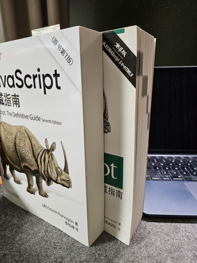 JavaScript 指南 原书第7版 犀牛书JS高级程序设计 晒单图