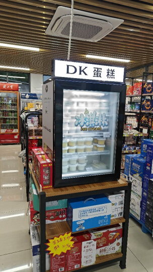 捷盛（JS）立式小型冷冻展示柜SD55侧开门冷藏冰淇淋冷柜玻璃门榴莲冰柜 保存箱 黑色 晒单图