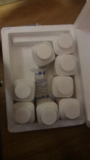伊利安慕希希腊风味酸奶原味205g*12盒牛奶整箱多35%乳蛋白中秋送礼品 晒单图