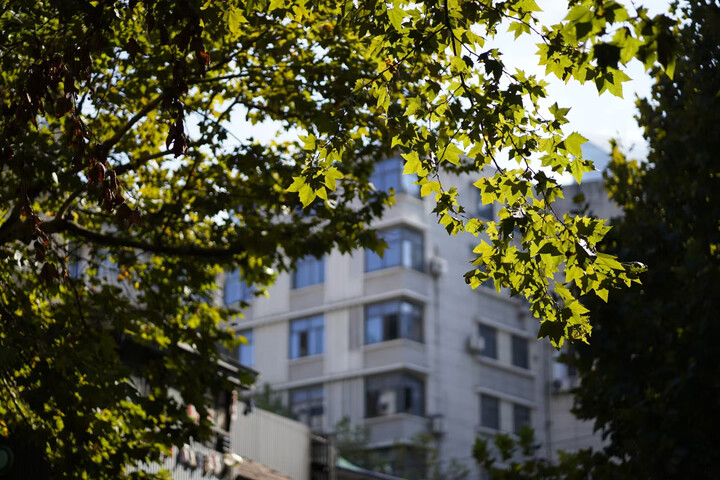 索尼（SONY）FE 85mm F1.8全画幅中远摄定焦微单相机镜头 E卡口 SEL85F18 晒单图