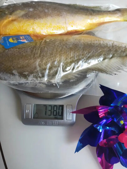 三都港 三去深海宁德大黄花鱼1kg/2条装 生鲜 鱼类 国产海鲜水产 健康轻食 晒单图