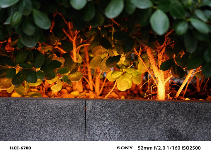 索尼（SONY）E 50mm F1.8 OSS  APS-C画幅定焦镜头 SEL50F18 黑色 晒单图