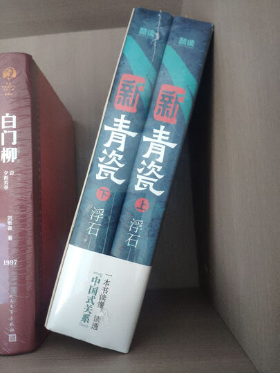 背景（时政小说） 小说 晒单图