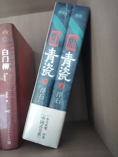 背景（时政小说） 小说 晒单图