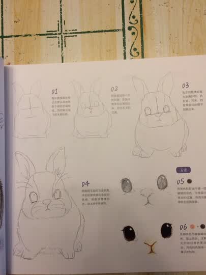 呆萌小动物画起来绘森活色铅笔画彩铅画自学入门基础.
