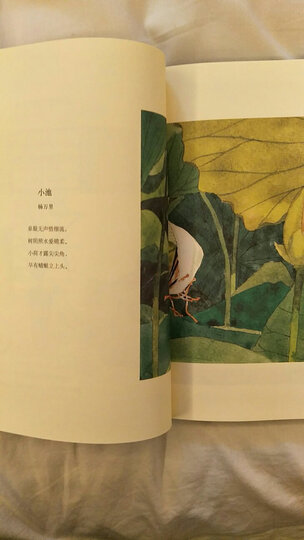 给孩子读诗 晒单图