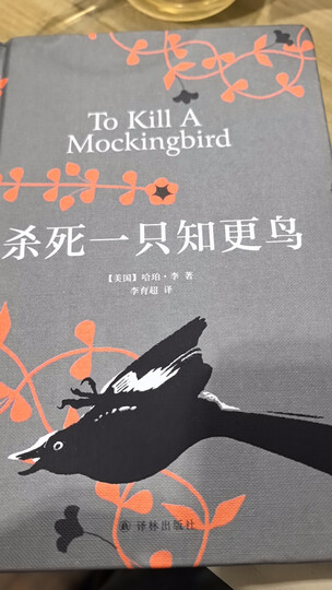 杀死一只知更鸟（豆瓣9.2，关于勇气与正义的成长教科书，影响全球5000万家庭的“教养宝典”，奥巴马、贝克汉姆、奥普拉鼎力推荐） 晒单图