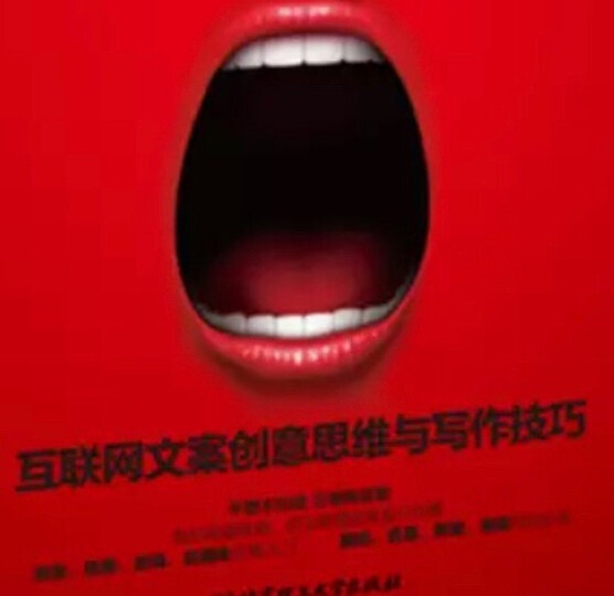 尖叫感:互联网文案创意思维与写作技巧 晒单图