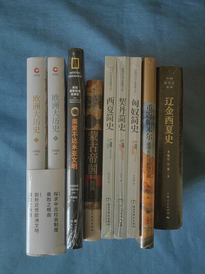 畅销套装-塞北帝国史系列:匈奴简史+契丹简史+西夏简史(套装共3册) 晒单图