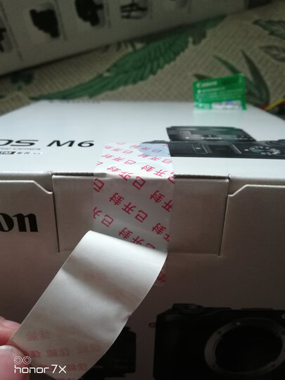 佳能(Canon)EOS M6(15-45镜头)银色微单套机(2420万像素 触控翻转LCD 全像素双核对焦)Vlog视频拍摄 晒单图