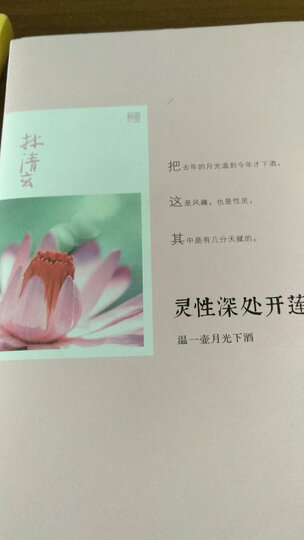 心外无物 随遇而安 晒单图