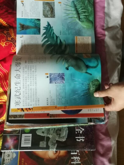 DK儿童地理百科全书(2018年全新修订版) 晒单图