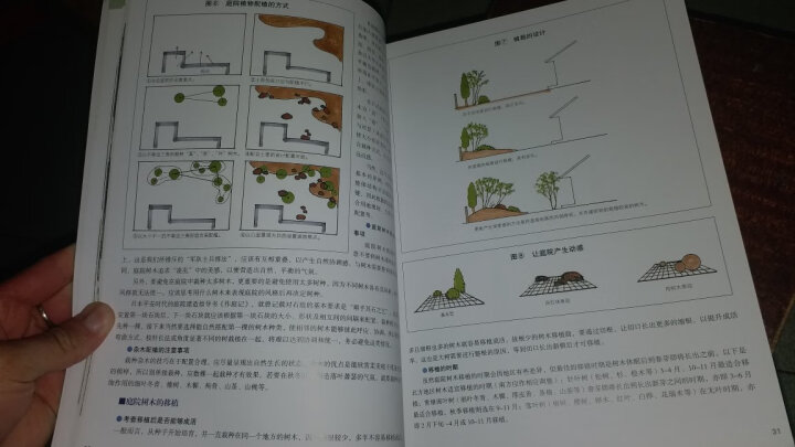 现代日式庭院设计 晒单图