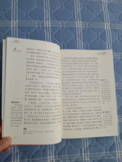 海底两万里 骆驼祥子/七年级下册推荐 爱阅读中小学儿童文学名著阅读共502页（套装共2册） 晒单图