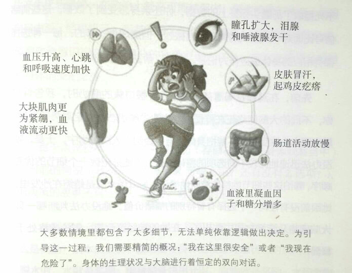 优雅面对疾病与衰老 (最好的抉择+最好的告别)(套装共2册) 晒单图
