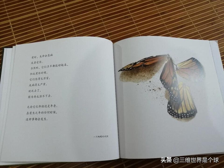 国际绘本大师罗伯特·英潘:有生之年:用优美的语言讲述生命的开始与结束(启发童书馆出品) 晒单图
