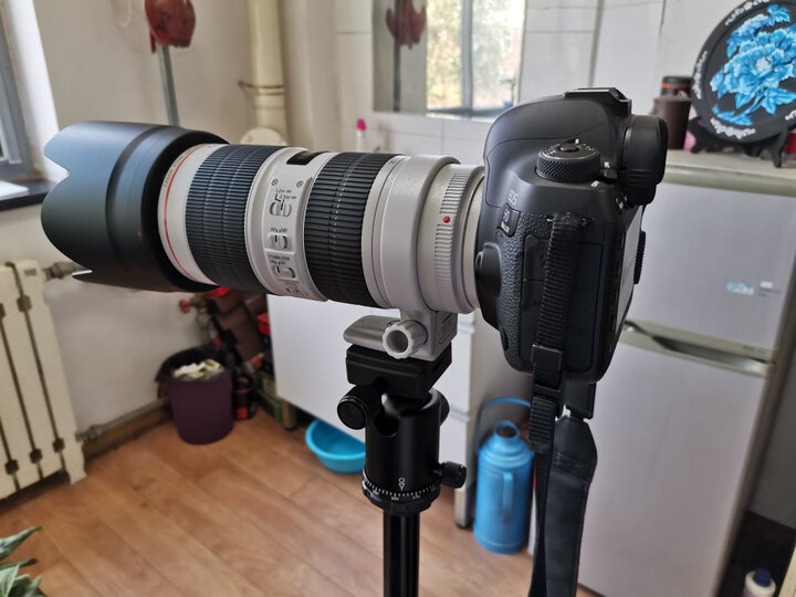 佳能(Canon) EF 70-200mm f/2.8L IS II USM 镜头 70200大三元 晒单图