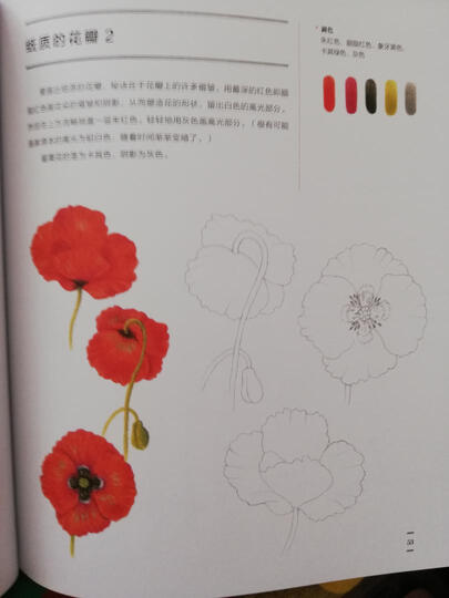 向大师学绘画:艺用解剖(全新修订版)---西方经典美术技法译丛 晒单图
