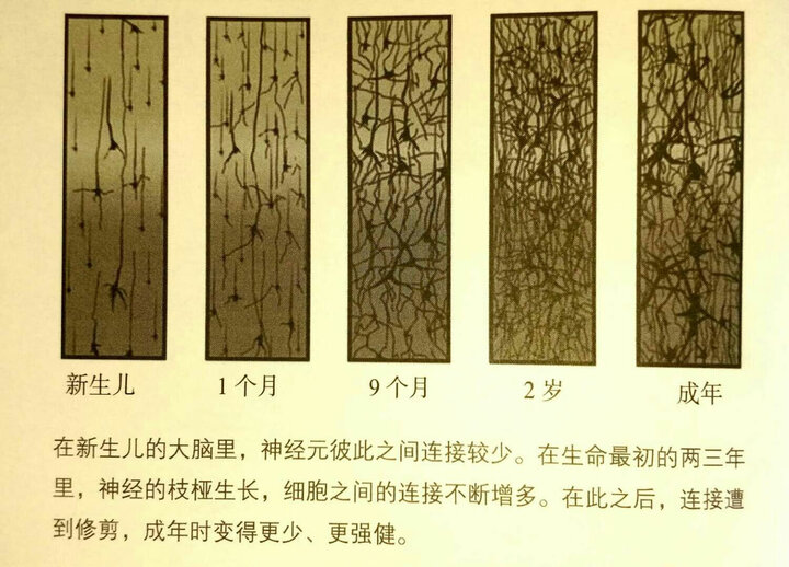 优雅面对疾病与衰老 (最好的抉择+最好的告别)(套装共2册) 晒单图