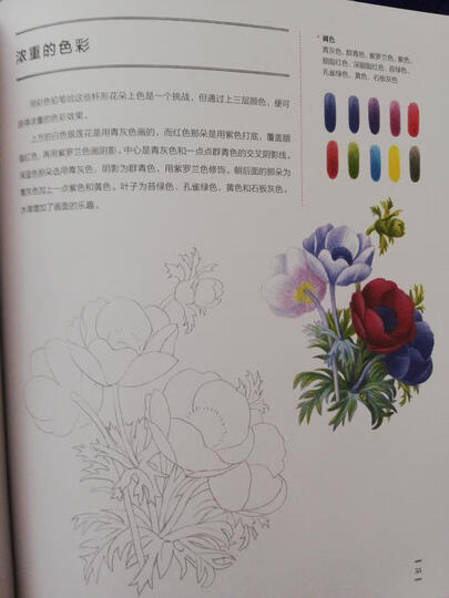 向大师学绘画:艺用解剖(全新修订版)---西方经典美术技法译丛 晒单图