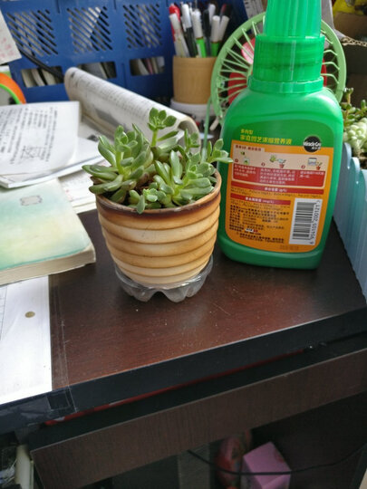 美乐棵 蔬果型营养液250ML/瓶 家庭园艺肥料 园艺种植液料 阳台菜盆蔬果瓜果浓缩营养液 晒单图