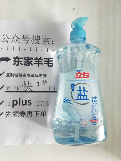 凯迪克银奖绘本:两个男孩的完美假日(奇想国童书) 晒单图