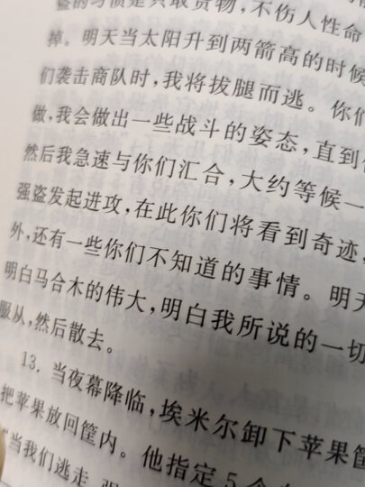 专题文明译丛：世界历史上的宗教 晒单图