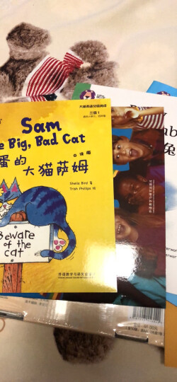 大猫英语自然拼读三级2 Big Cat Phonics（小学三年级 读物5册+家庭阅读指导1册+拼读卡 点读版 附MP3光盘1张） 晒单图